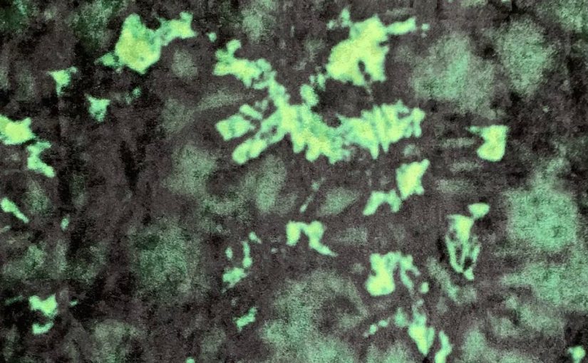 Molten Crushed Velvet – Green