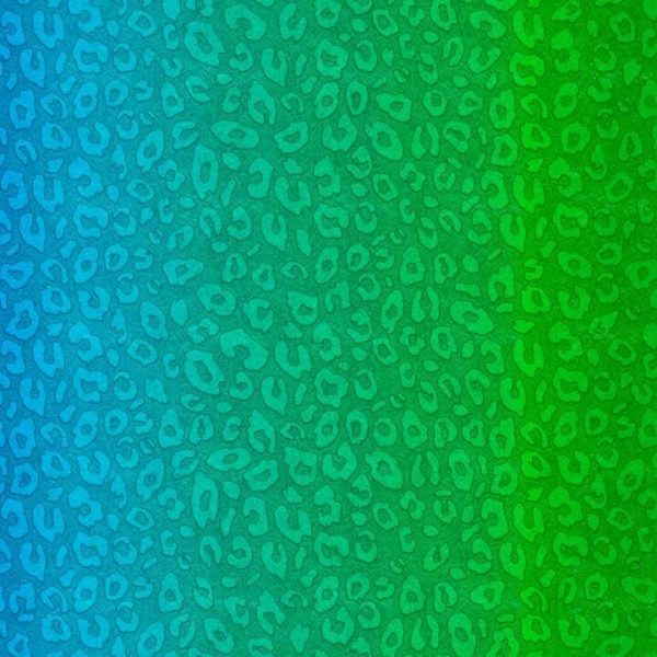 Ombre Leopard Pattern Print