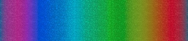 Rainbow Ombre Leopard Pattern Print