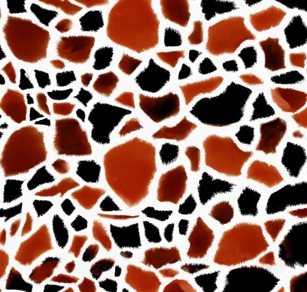 Giraffe Skin Fur Print