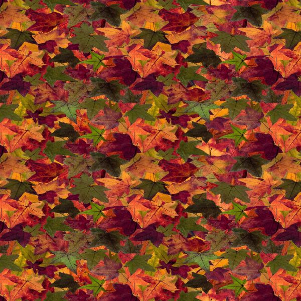 Leaves Print