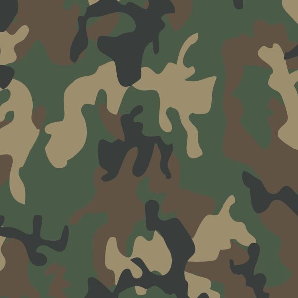 Woodland Camo Print